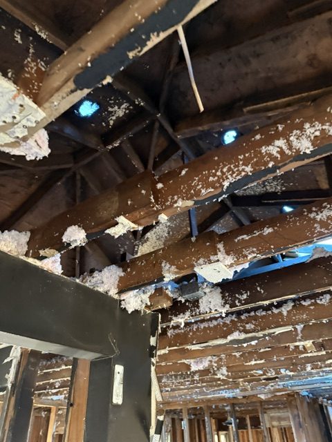 The fire at 7249, before the work &mdash; photograph 45 of 47