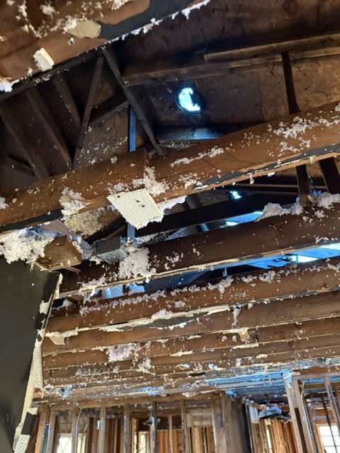The fire at 7249, before the work &mdash; photograph 46 of 47